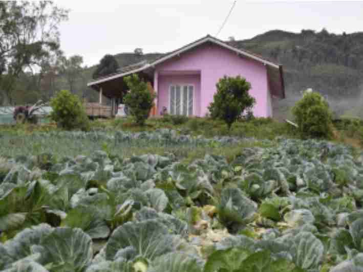 Minha Casa Minha Vida Rural
